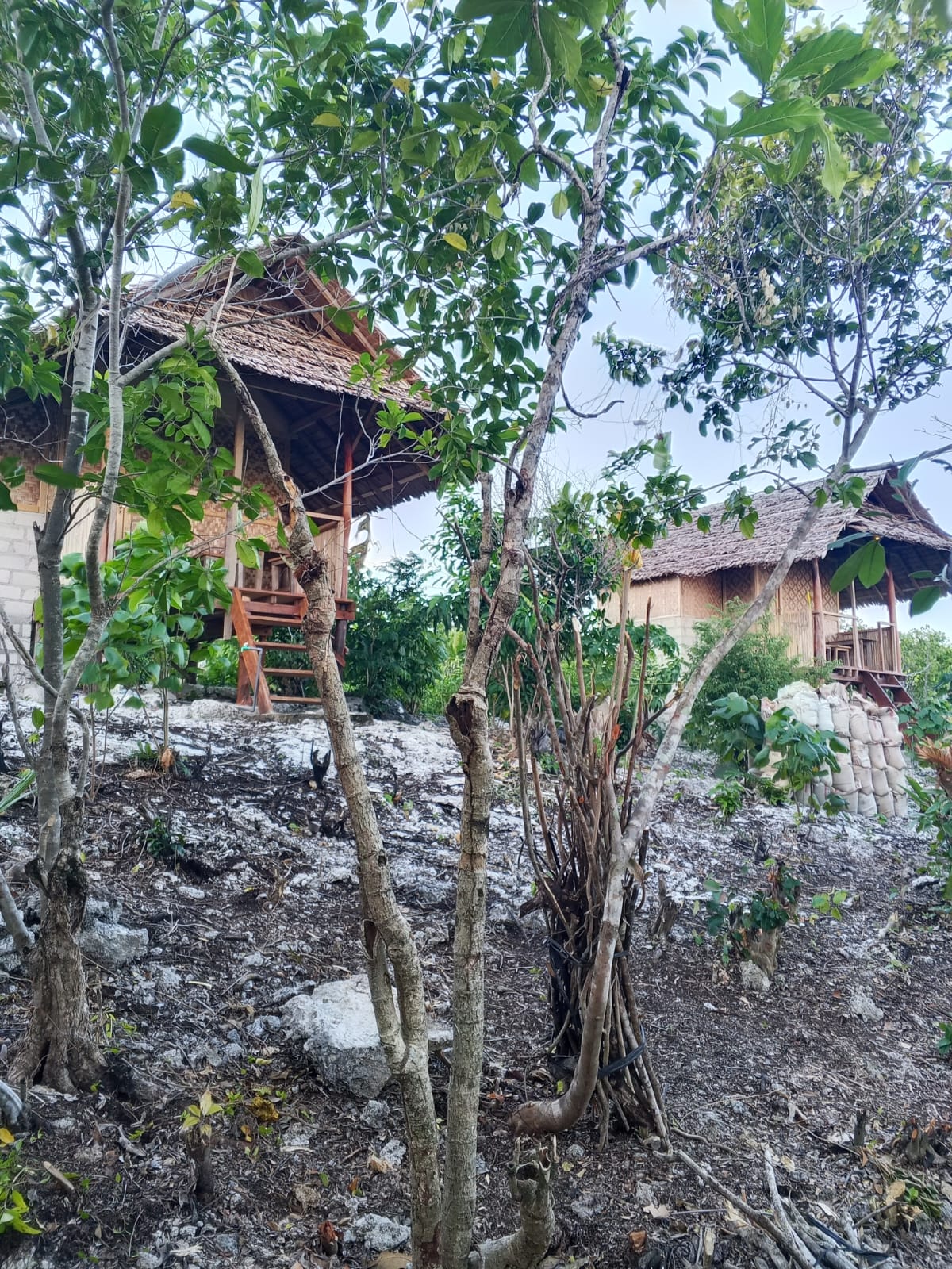 Cottage di Antara Pepohonan