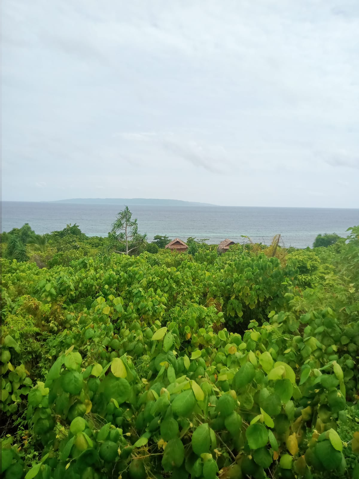 Sekilas Laut dari Kejauhan